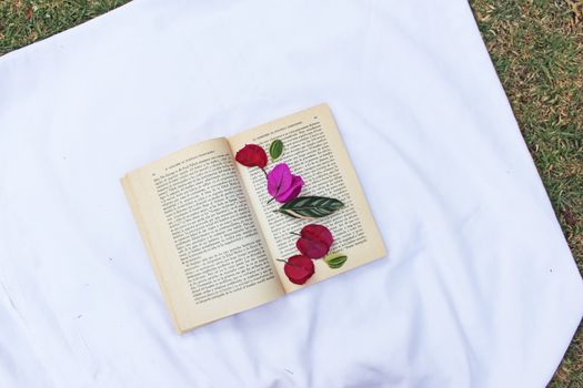 A folyó másik partján – borító